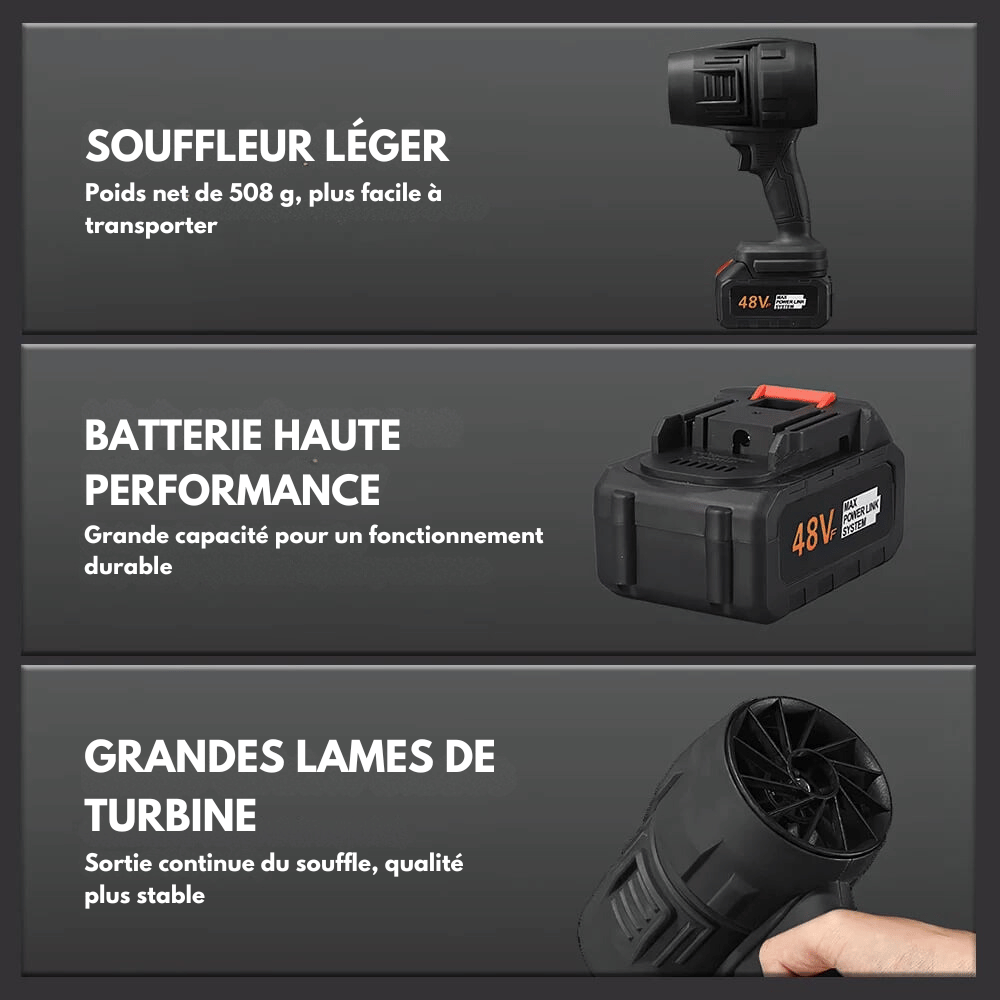 Souffleur W30